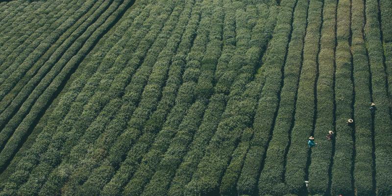 UWB技术如何重塑智能家居？海亿智能解析精准定位与无感交互的未来